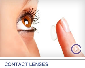 Contact Lenses